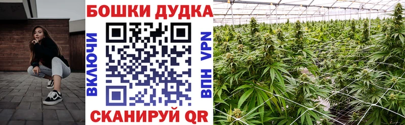 Купить закладку Cocaine  Конопля  МЕФ  A-PVP  ГАШ  Горно-Алтайск