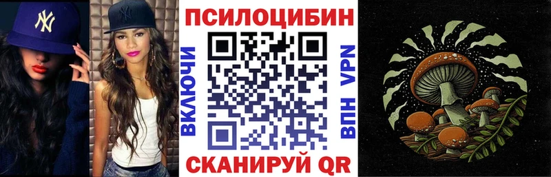 Купить  Горно-Алтайск  Галлюциногенные грибы мицелий 