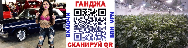 Купить  Горно-Алтайск  Каннабис план 
